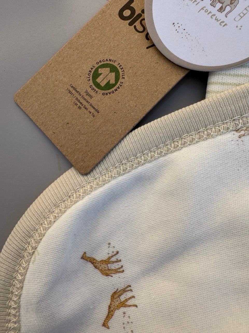 White And Mint Safari Organic Cotton Double Face Blanket